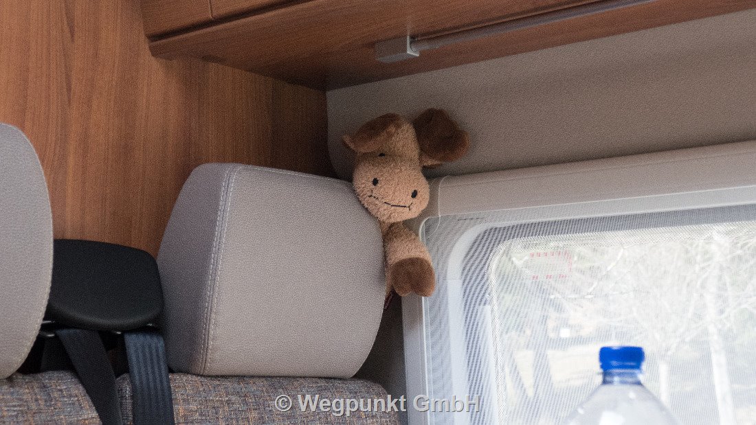 Unser Maskottchen wie immer voll dabei